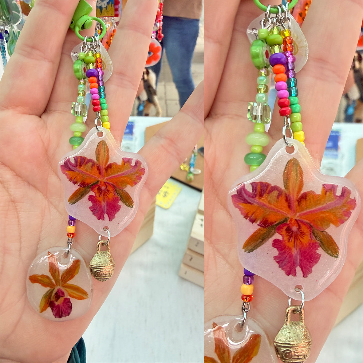 Tropical Orchids