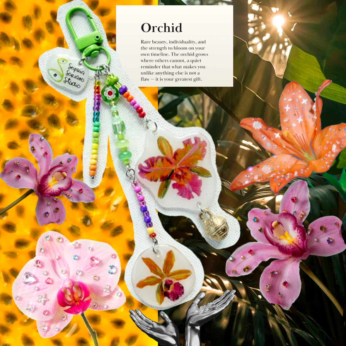 Tropical Orchids