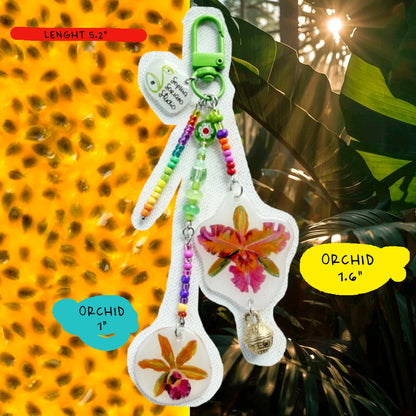 Tropical Orchids