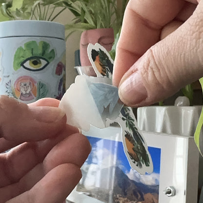 Healing uterus stickers